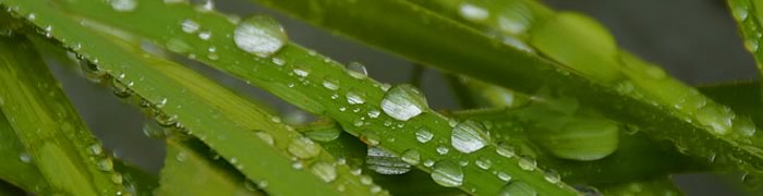 Raindrops · Casa Teodoro