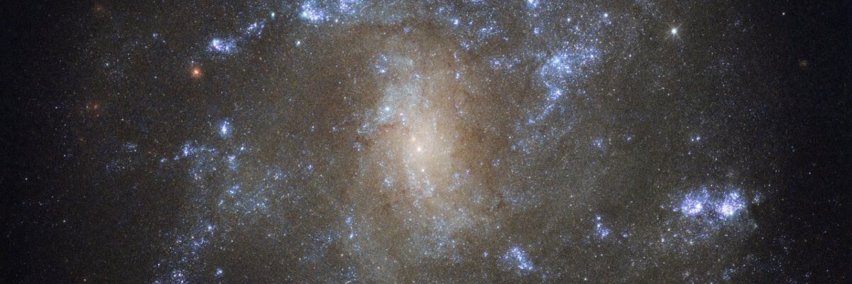 Nasa4 1200 · Casa Teodoro